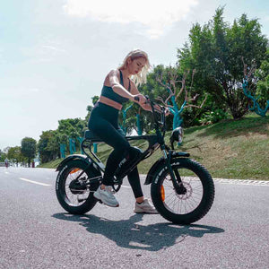 Freego DK200 E-Bike