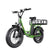 Freego FB-20X Step-thru E-Bike