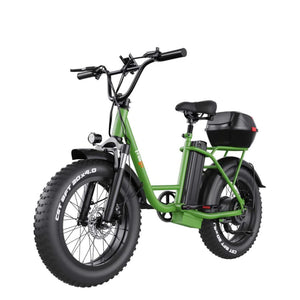 Freego FB-20X Step-thru E-Bike