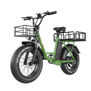 Freego FB-20X Step-thru E-Bike