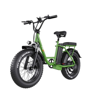 Freego FB-20X Step-thru E-Bike