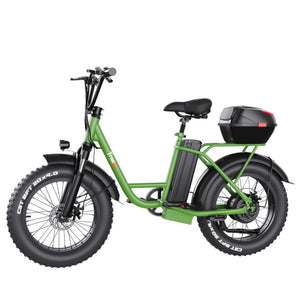 Freego FB-20X Step-thru E-Bike