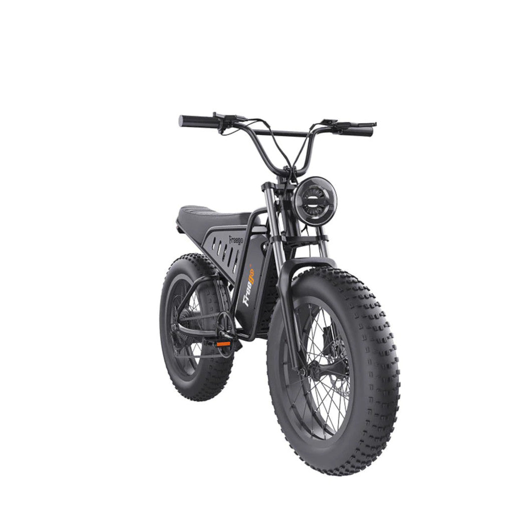swego electric bicycle Freego Nachbike Swift S1 E-Bike