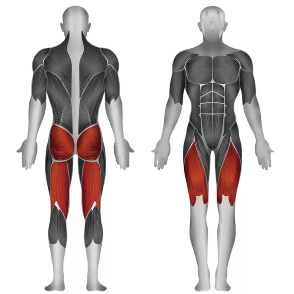 Steelflex JGLP500 Leg Press Machine