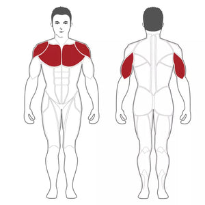 Steelflex NODB Olympic Decline Bench