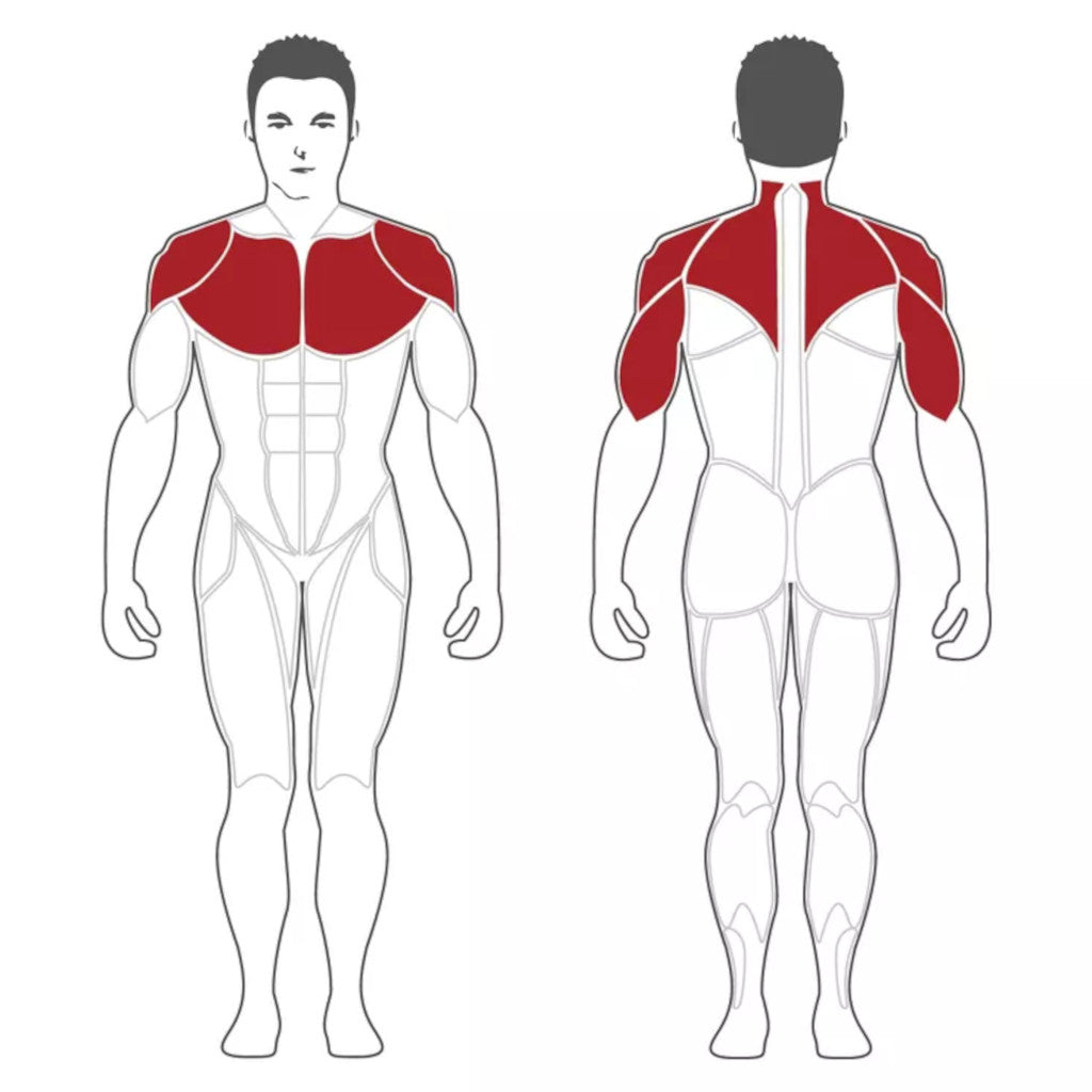 Steelflex PL2100 Chest Shoulder Incline Plate Loaded